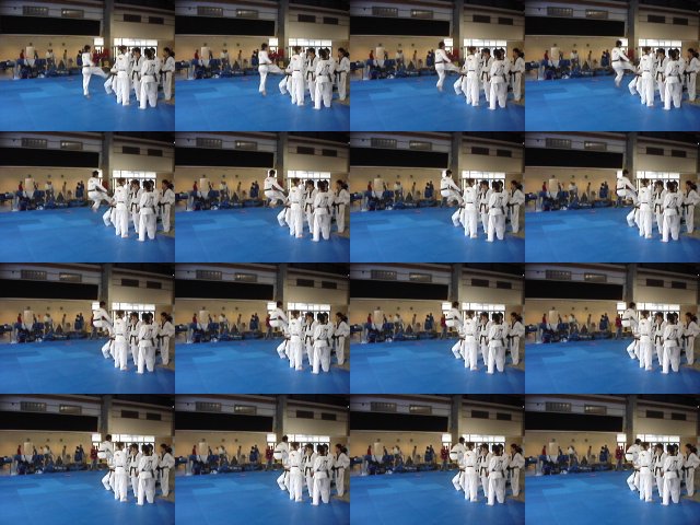 wm_2009_cph 15